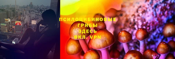 ECSTASY Горно-Алтайск