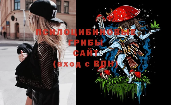 ECSTASY Горно-Алтайск